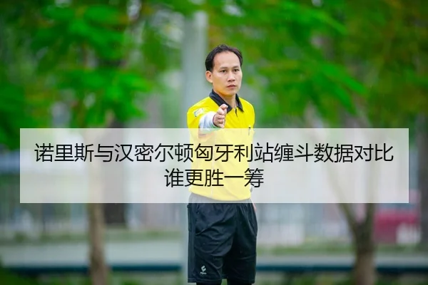 诺里斯与汉密尔顿匈牙利站缠斗数据对比谁更胜一筹
